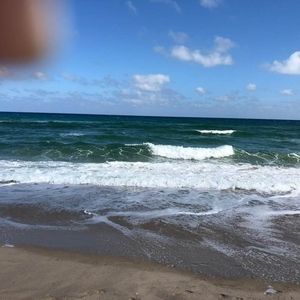 Meet your Posher, Betsy